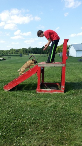 Junior trainer Noah Price